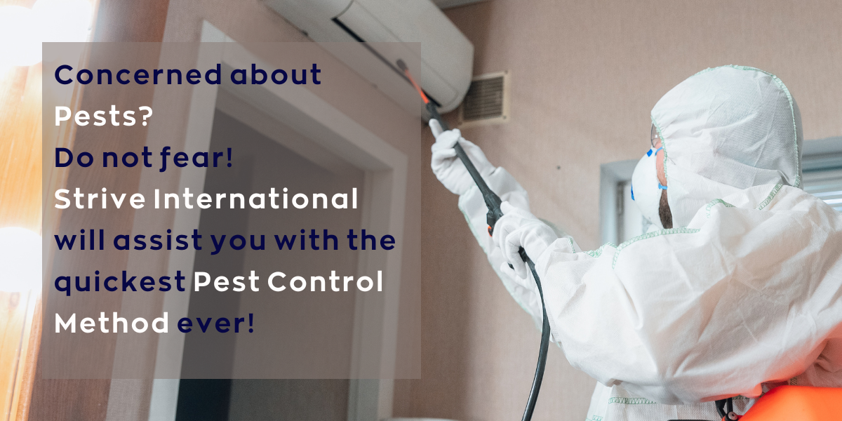 Professional pest management for homes and commercial facilities
